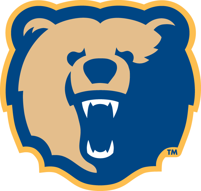 Morgan State Bears 2002-Pres Secondary Logo diy iron on heat transfer